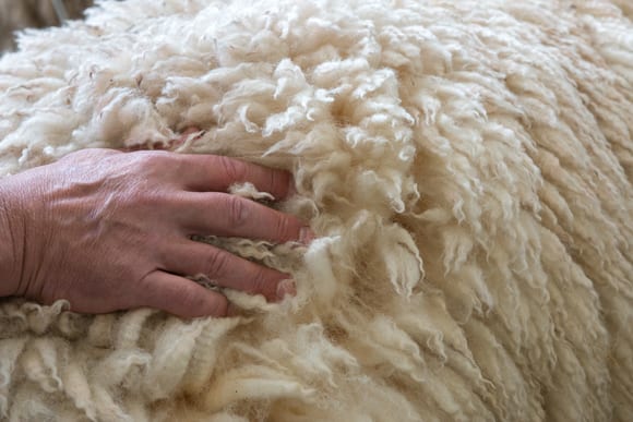 What are the benefits of woollen carpets?